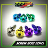 Titanium GR5 CNC Head Body Screw Bolt for Fairings & Covers – Universal